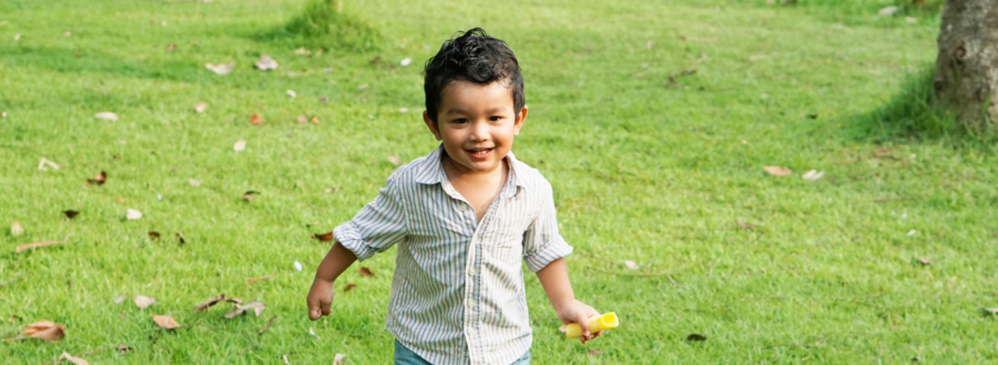 Header Noah